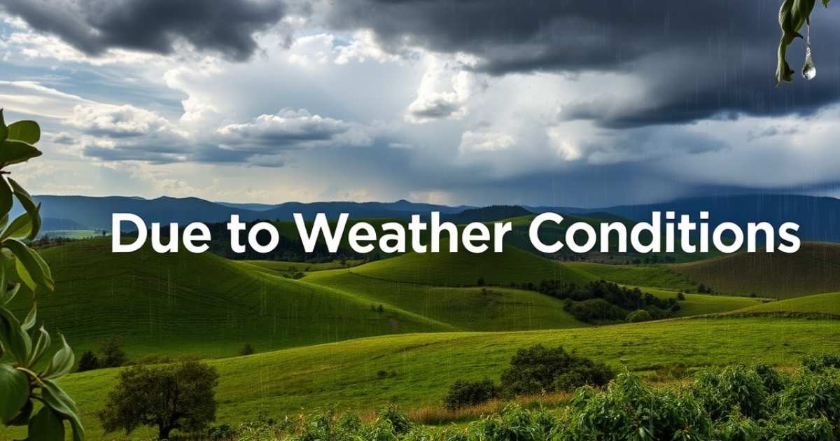 Weather Conditions
